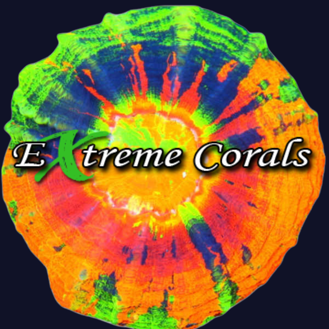 Extreme Corals Logo