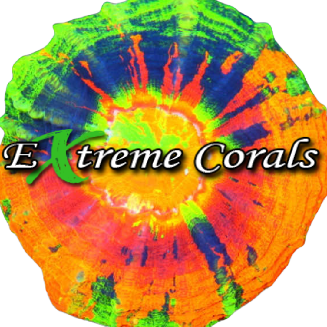 Why Buy Corals from ExtremeCorals.com? WYSIWYG, Experience & Trusted Shipping