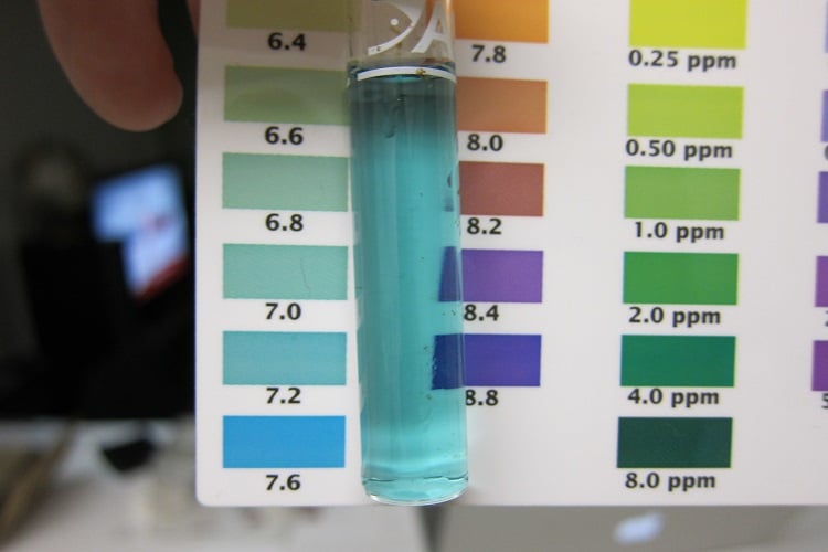 Vile showing pH of tank water