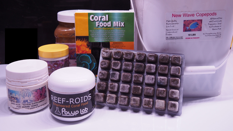 Coral Food Samples