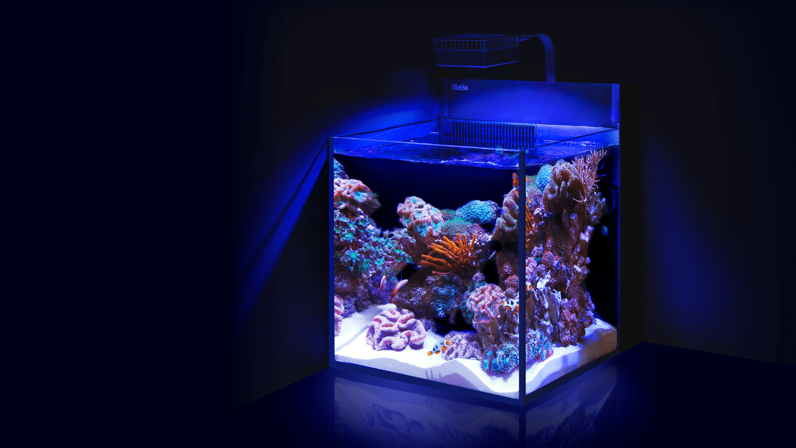 Red Sea Nano Reef Tank