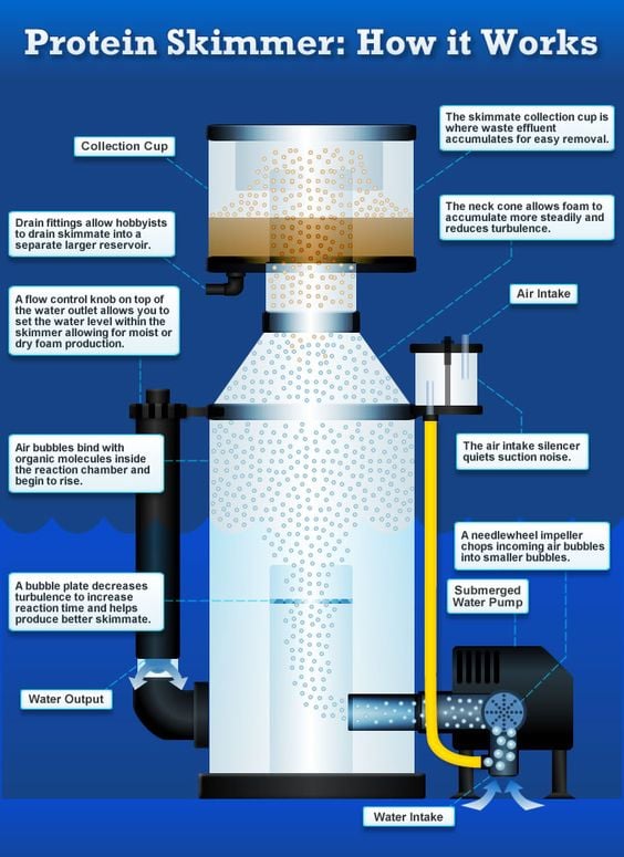 Protein Skimmer